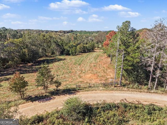Land for sale in Bowdon, Carroll County
