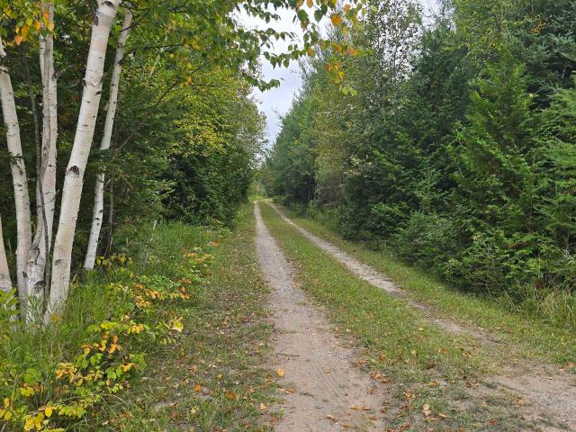 Land for sale in Trout Lake Township, Chippewa County