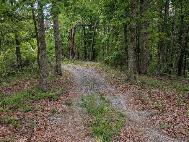 Land for sale in Tennessee