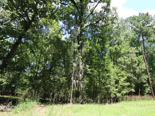 Land for sale in Broaddus, Texas
