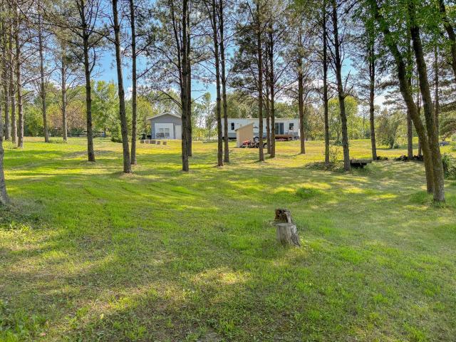 Land for sale in Dent, Minnesota