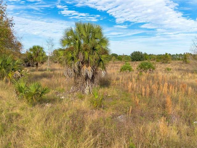 Land for sale in Tavares, Florida