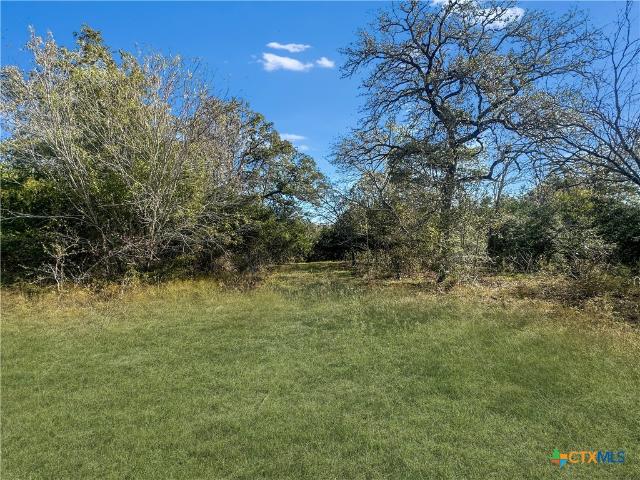 Land for sale in Flatonia, Texas