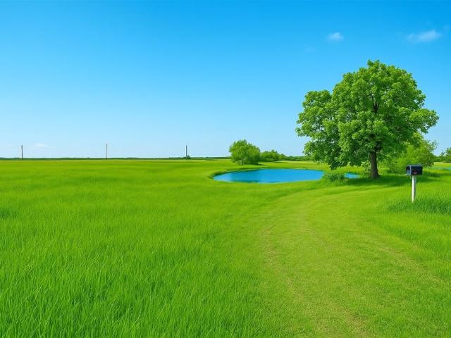 Land for sale in Itasca, Texas