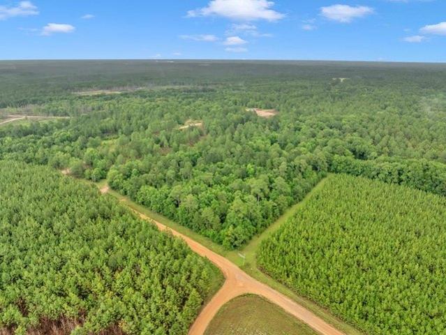Land for sale in Turner, Georgia