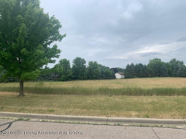 Land for sale in Michigan