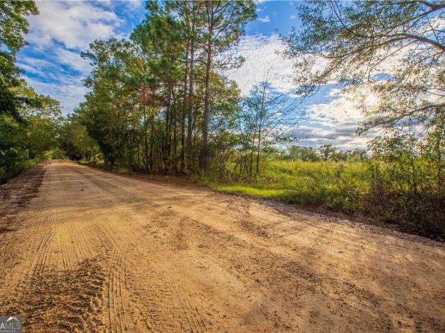 Land for sale in Sparks, Georgia