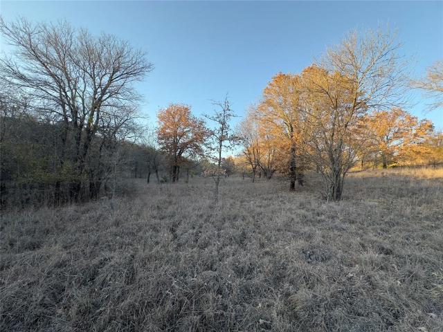 Land for sale in Wise, Texas