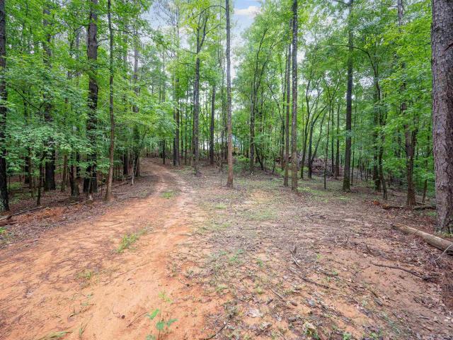 Land for sale in Chelsea, Alabama