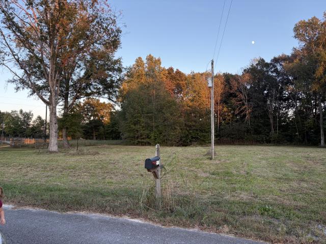 Land for sale in Devenport, Middle Tennessee