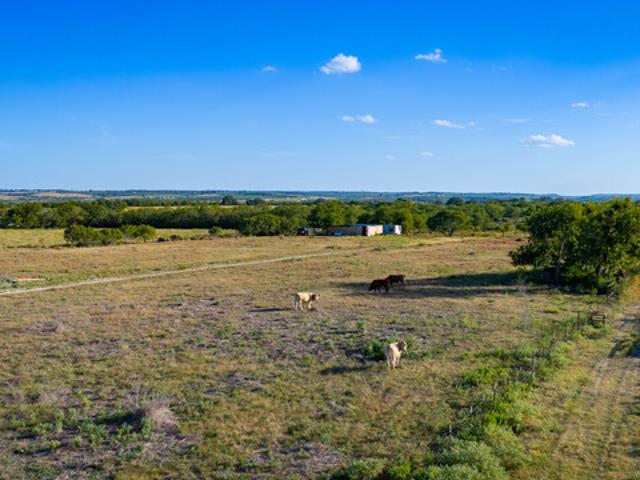 Land for sale in Kingsbury, Guadalupe County