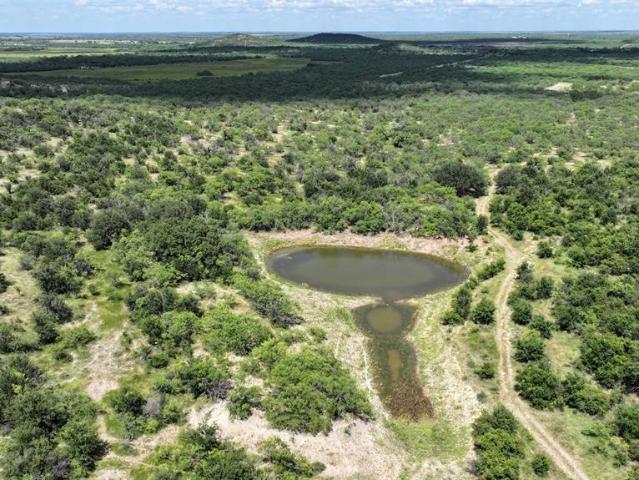 Land for sale in Moran, Texas