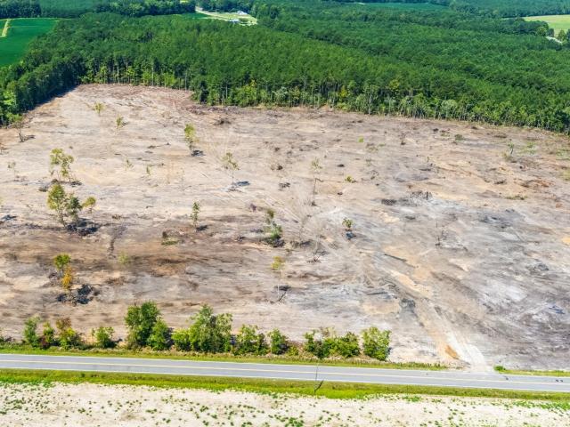 Land for sale in Loris, South Carolina