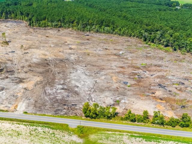 Land for sale in Loris, South Carolina