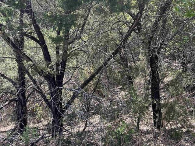 Land for sale in Marble Falls, Texas