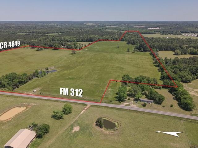 Land for sale in Winnsboro, Wood County