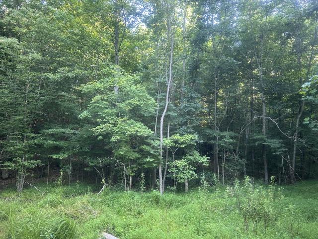 Land for sale in Tennessee