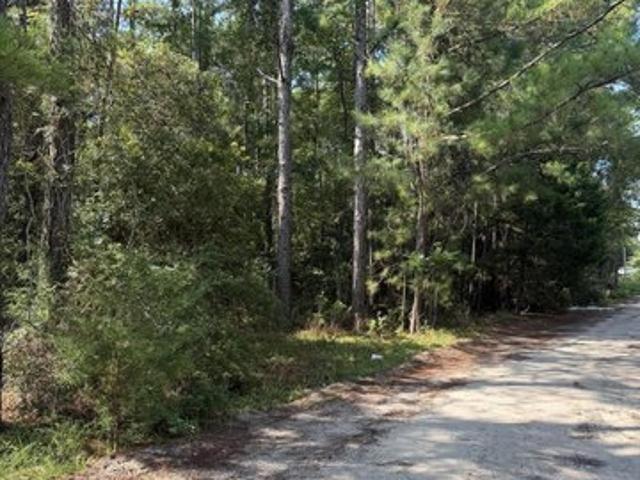 Land for sale in Ash, North Carolina