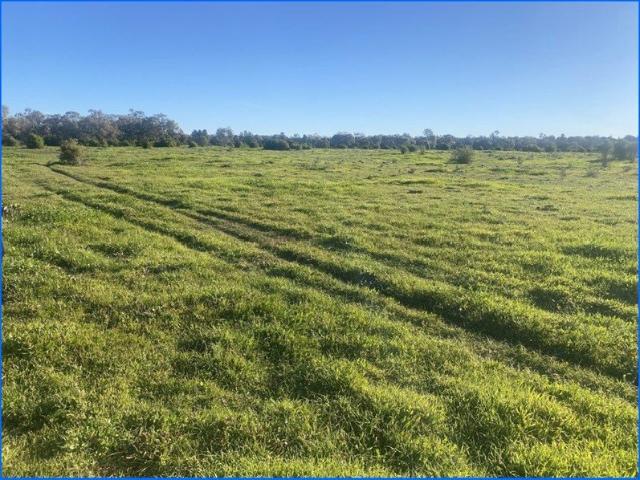 Cottage for sale in Lake Cargelligo, New South Wales