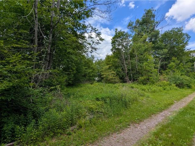 Land for sale in Hamden, New York