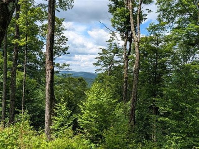 Land for sale in Hamden, New York
