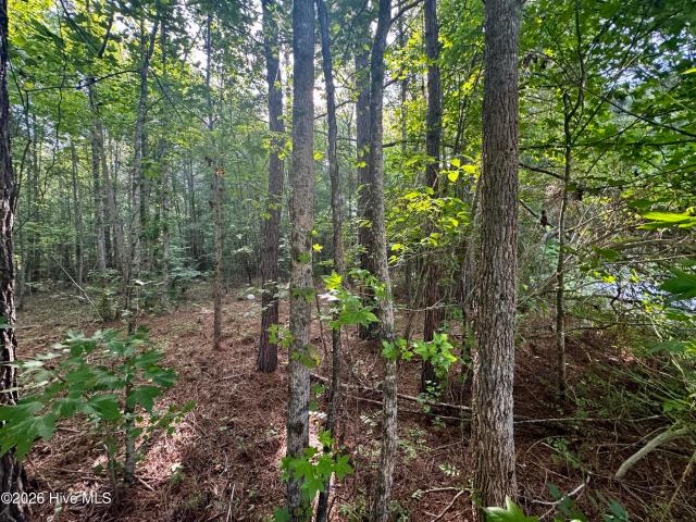 Land for sale in Pinetops, North Carolina