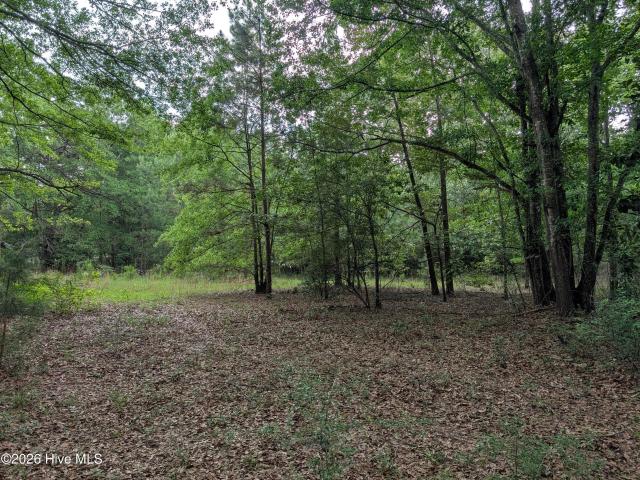 Land for sale in Aiken, South Carolina