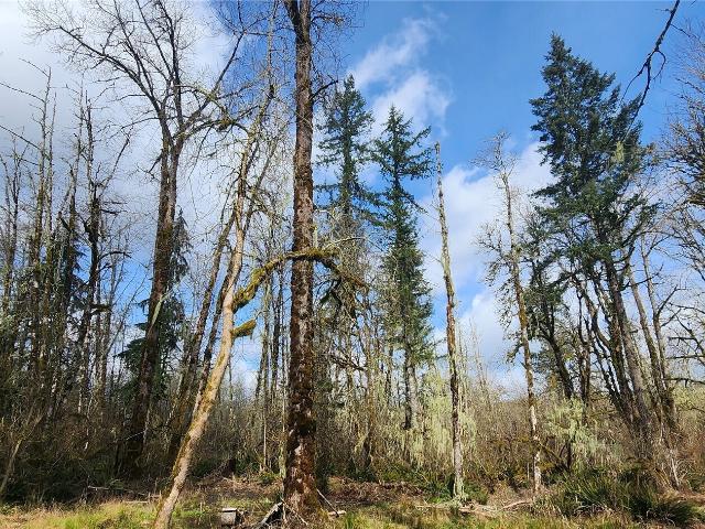 Land for sale in Cinebar, Washington