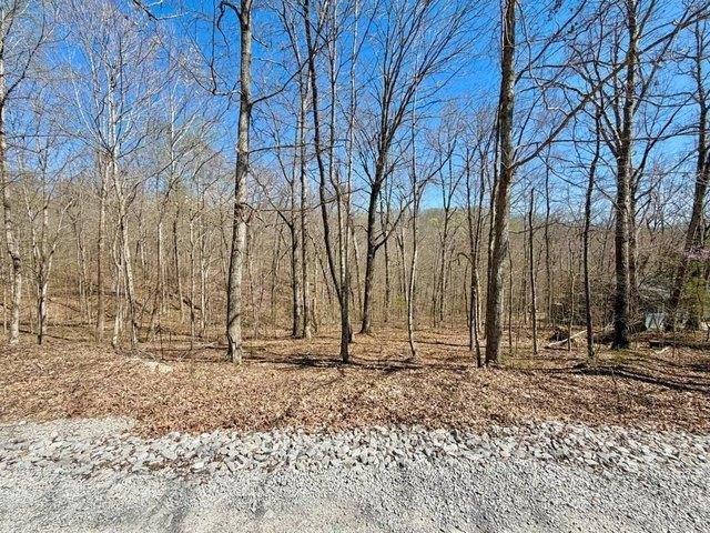 Land for sale in Clarkson, Kentucky