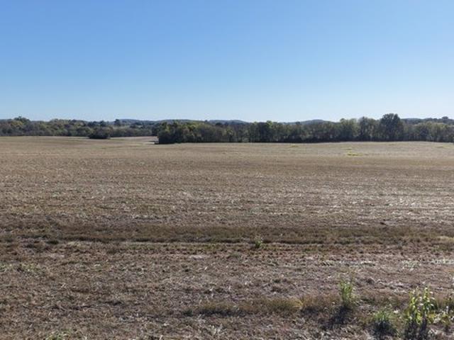 Land for sale in Castalian Springs, Middle Tennessee