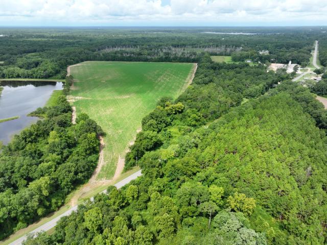 Land for sale in Walton, Florida