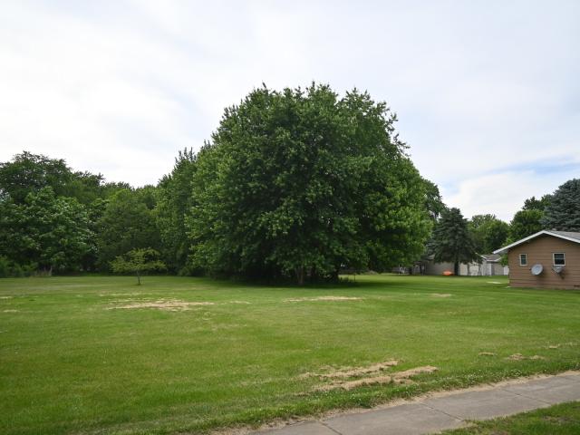 Land for sale in Braidwood, Illinois
