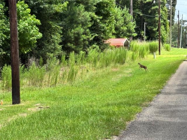Land for sale in Texas