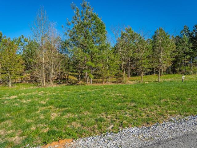 Land for sale in Jasper, East Tennessee