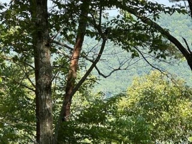 Land for sale in Wilder, Middle Tennessee