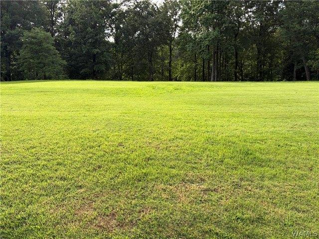 Land for sale in Alberta, Alabama
