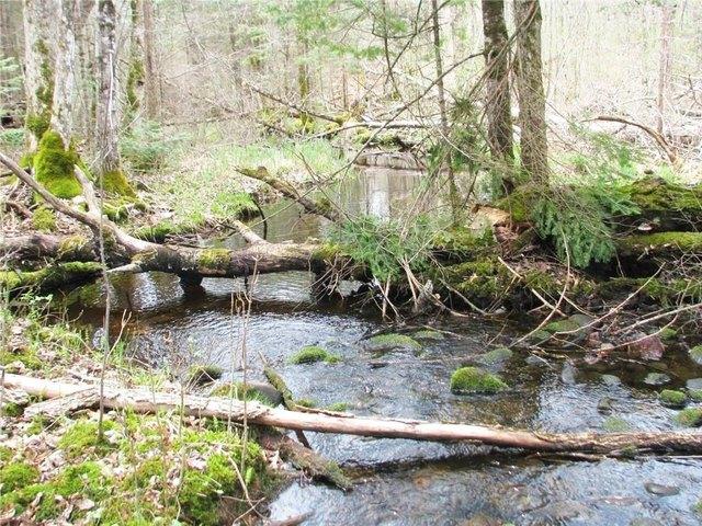 Land for sale in Birchwood, Wisconsin