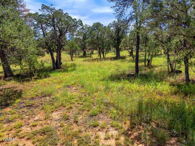 Land for sale in Navajo, Arizona