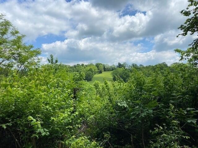 Farm for sale in Pendleton, Kentucky