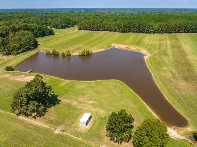 House for sale in Williston, West Tennessee