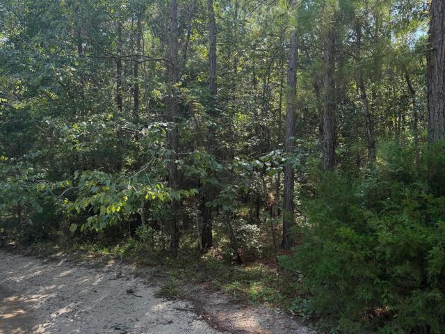Land for sale in Ash, North Carolina
