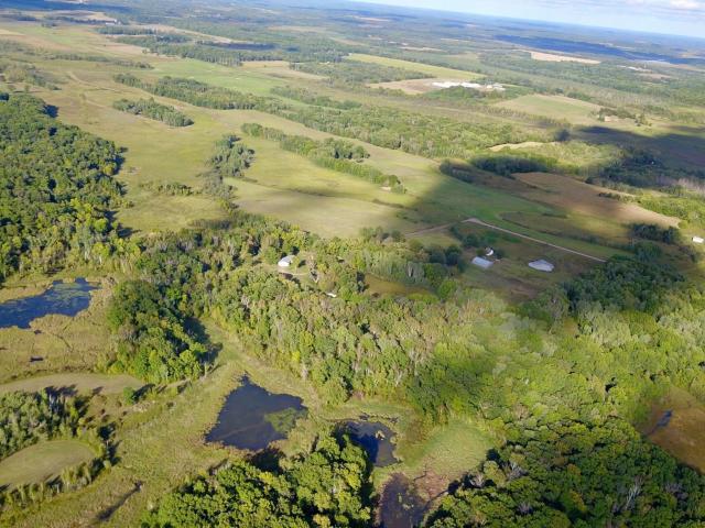 House for sale in Long Prairie, Todd County