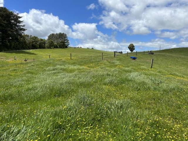 Property for sale in Pirongia, Waikato