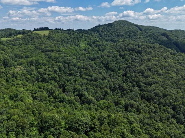 Land for sale in Virginia
