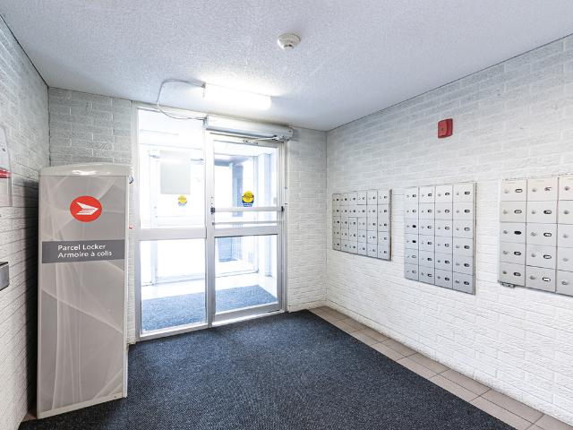 Apartment for rent in Kitchener, Ontario