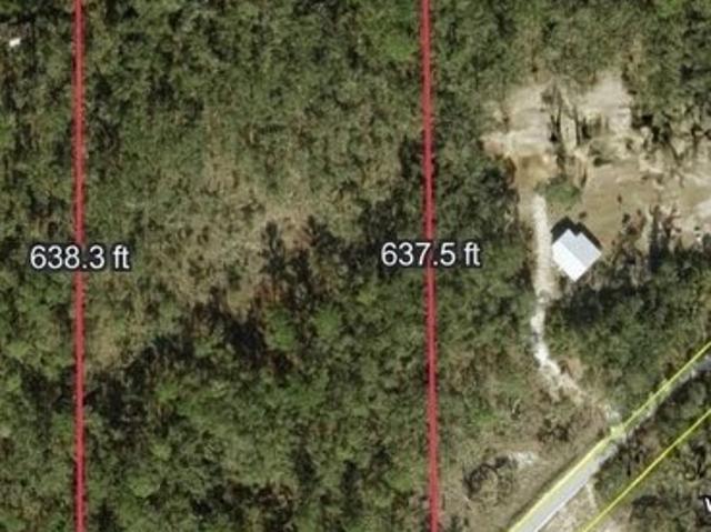 Land for sale in Dixie, Florida