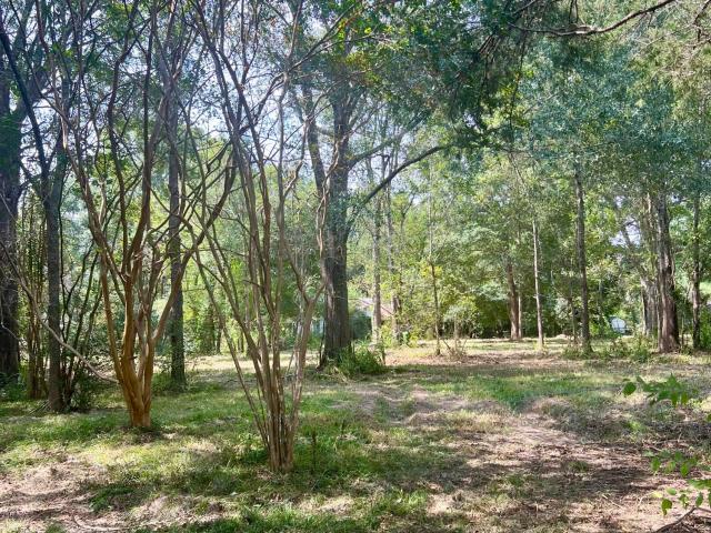 Land for sale in Lawtell, Louisiana