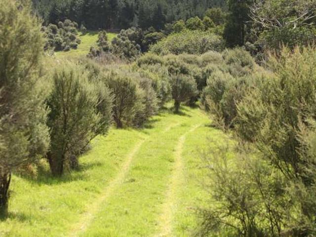 Property for sale in Ohaeawai, Northland