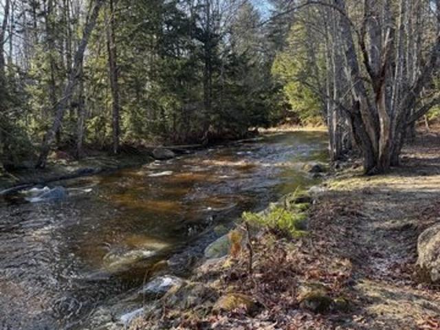 Land for sale in Waldo, Maine
