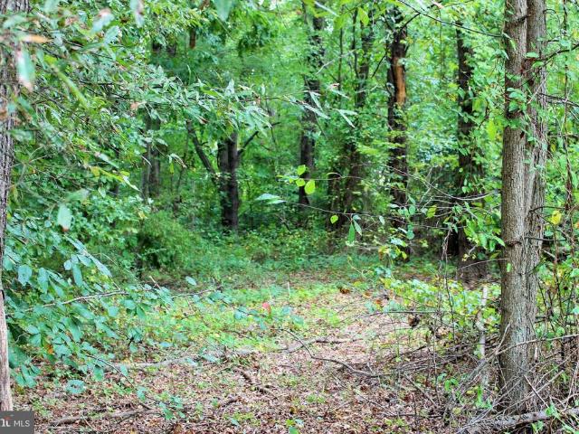 Land for sale in Mechanicsville, Maryland